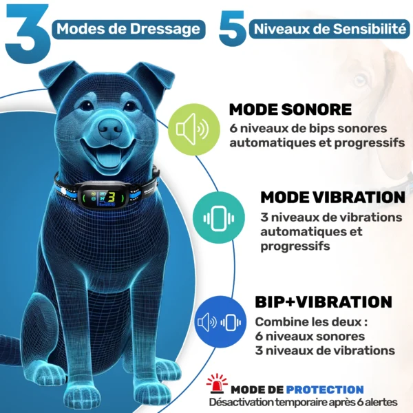 Collier Anti Aboiement