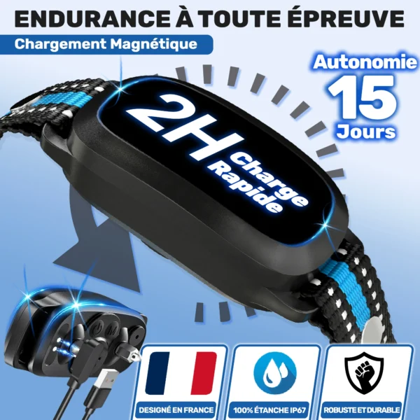 Collier Anti Aboiement