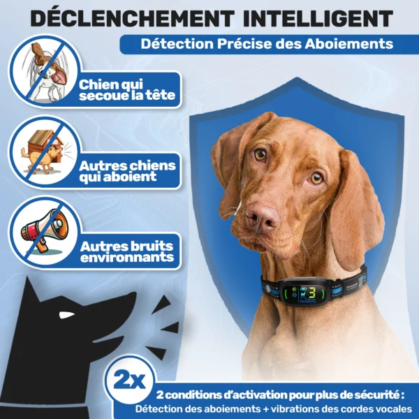 Collier Anti Aboiement