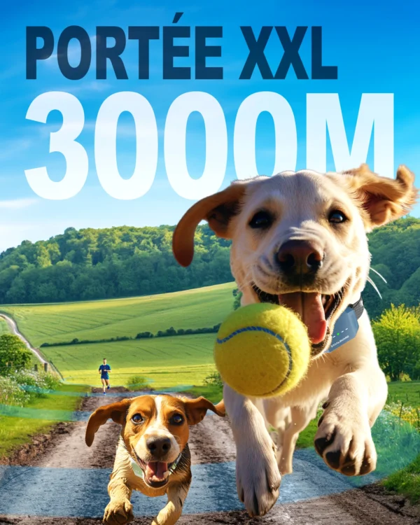 Collier de Dressage - ST30 Pro <br>(1 collier)