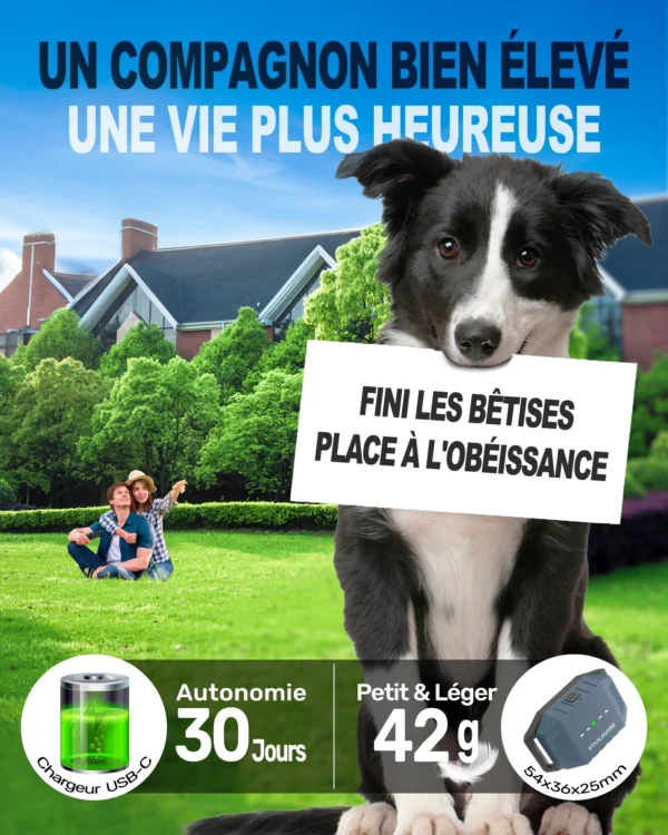 Collier de Dressage - ST30 Pro <br>(1 collier)