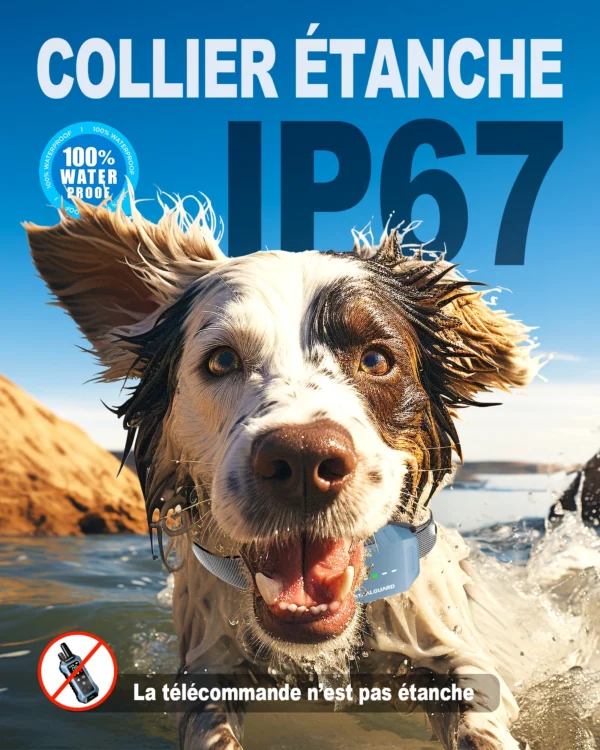 Collier de Dressage - ST30 Pro Dual<br> (2 colliers)